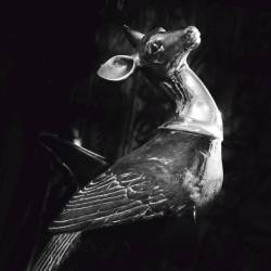 Treha Sektori : TriMuerti